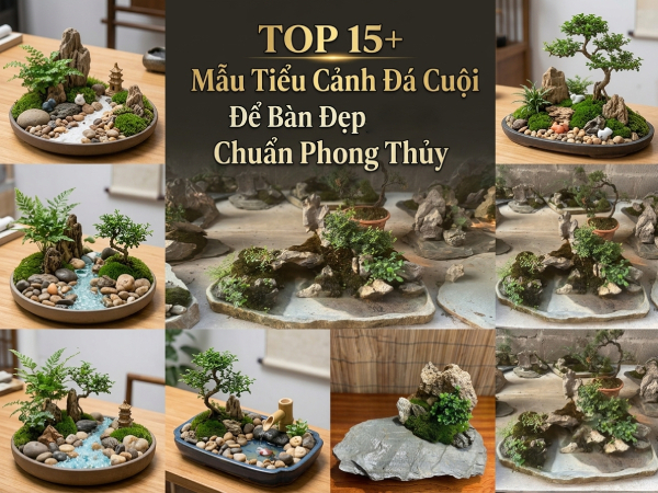 15 mau tieu canh da cuoi de ban 1