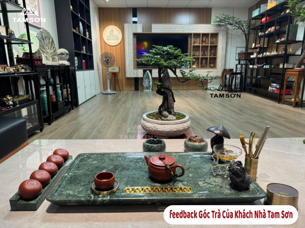 Feedback của khách hàng