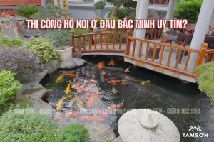 Thi công hồ koi Bắc Ninh