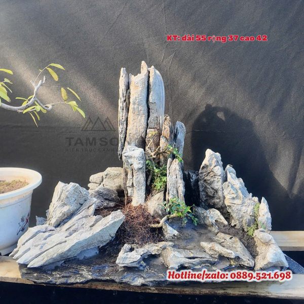 Tiểu cảnh đá cuội phối gốc bonsai cổ thụ