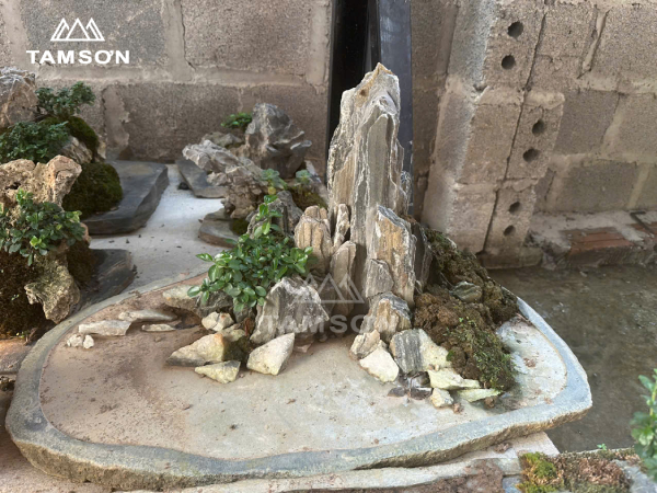 Khay đá cuội kết hợp cây không khí (Air plants) hiện đại