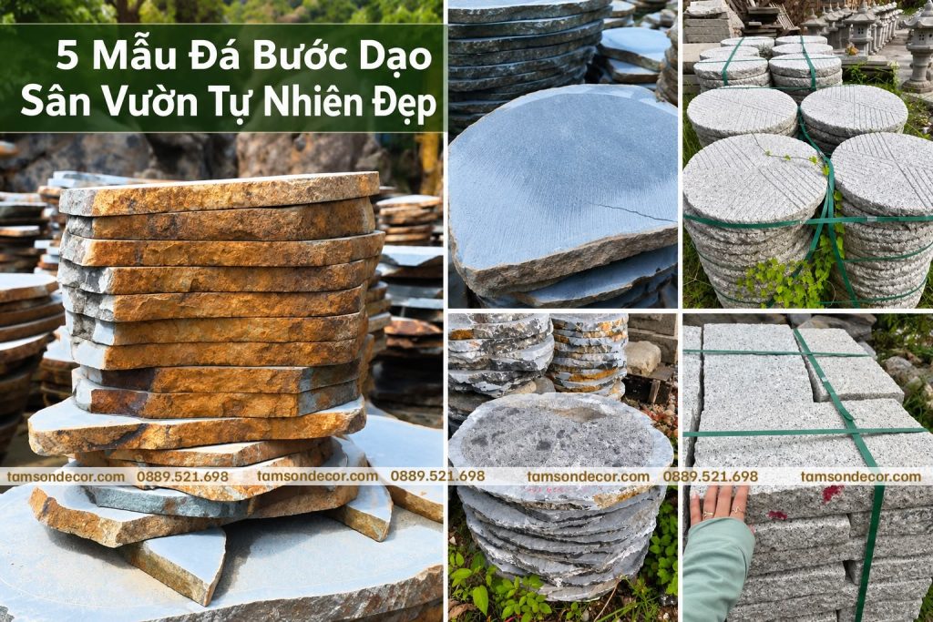 da buoc dao tu nhien 2